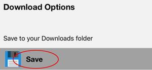 Step 4 - Save Screenshot