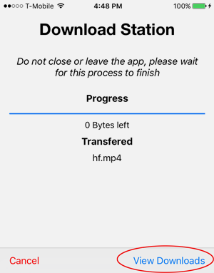 Step 6 - View Download Screenshot